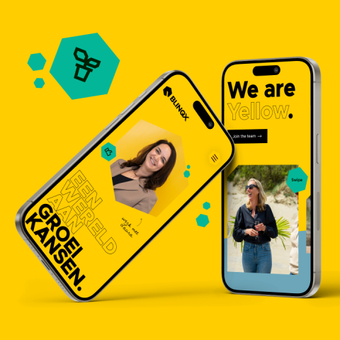 Blinqx Careers